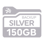 Backup Silver